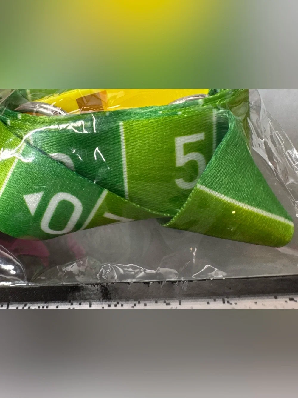 Green Whistle with Lanyard - Sports Party Accessory football sports coach